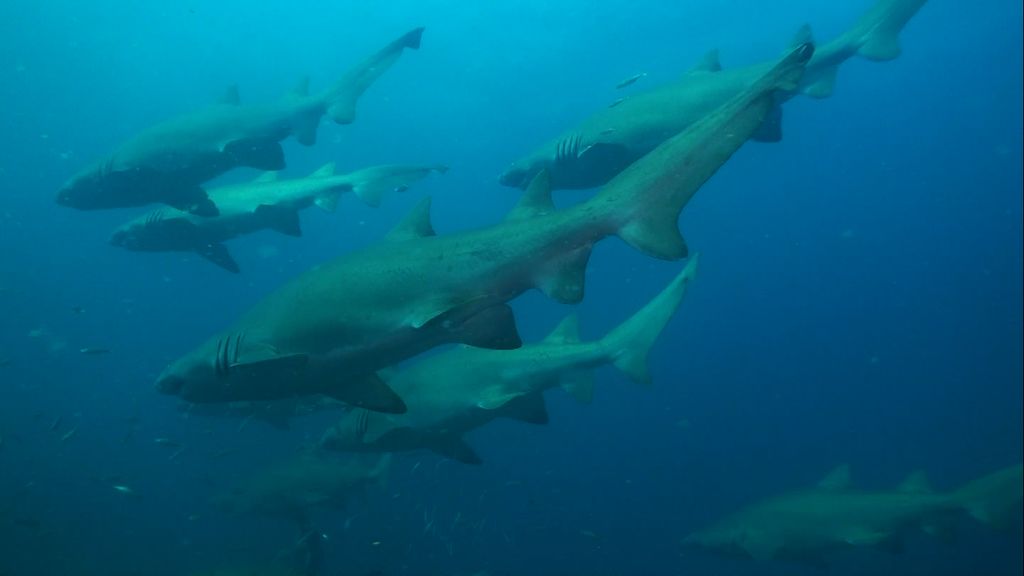 2af3809e-9658-4583-9f8e-7eae1ec23b9b