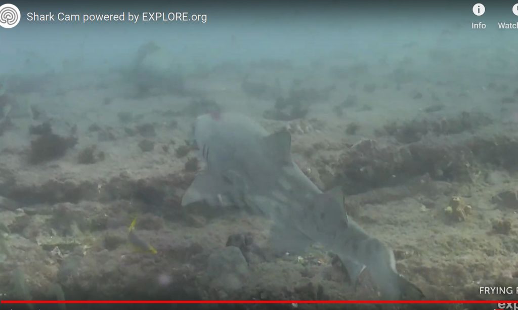 221990e7-1e40-4da4-b867-6ccf8aee923d