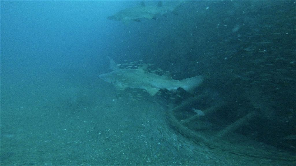 88492a2d-35b3-485f-90f0-1778a739d805