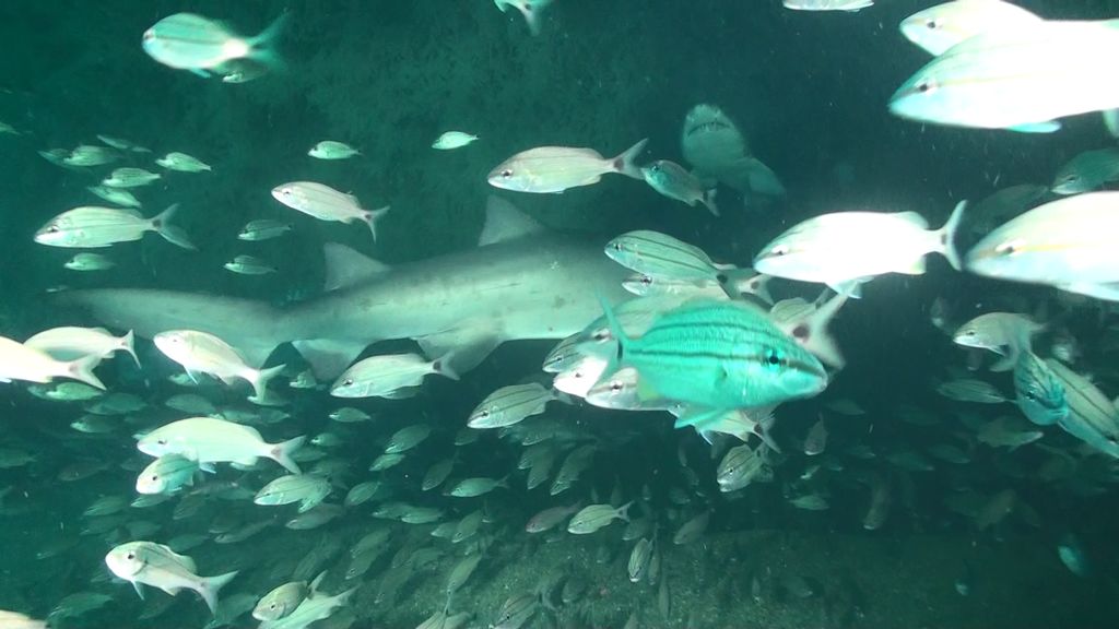 b49e5beb-9f20-4a6e-bb90-c477edc1818b