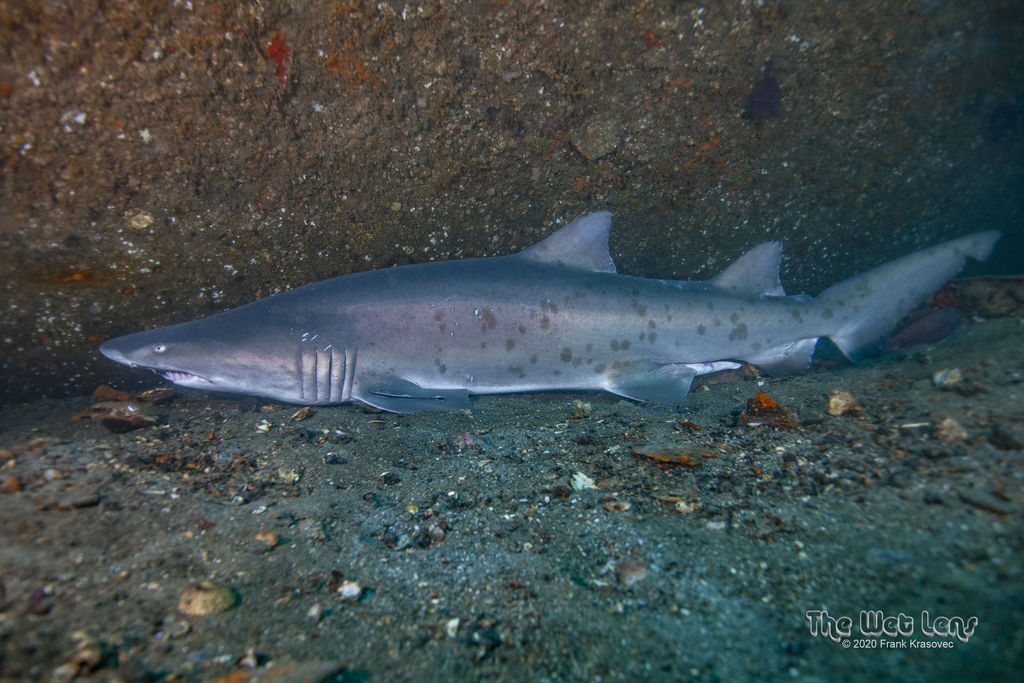 24e22aa5-a501-4673-a80d-b2686f2234f5