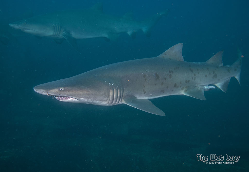 24e22aa5-a501-4673-a80d-b2686f2234f5