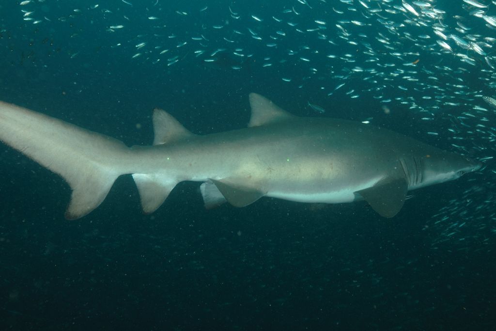 7591d1d5-7d84-49ff-84d5-8541b32bb5e7