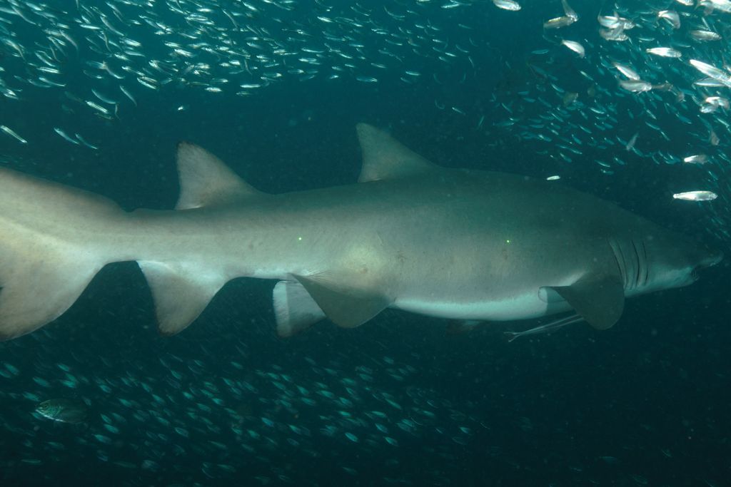 7591d1d5-7d84-49ff-84d5-8541b32bb5e7