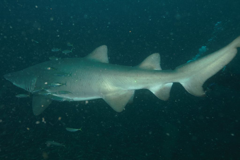 7591d1d5-7d84-49ff-84d5-8541b32bb5e7