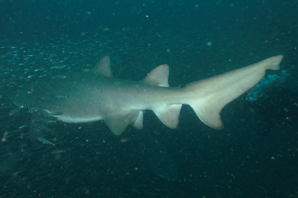 7591d1d5-7d84-49ff-84d5-8541b32bb5e7