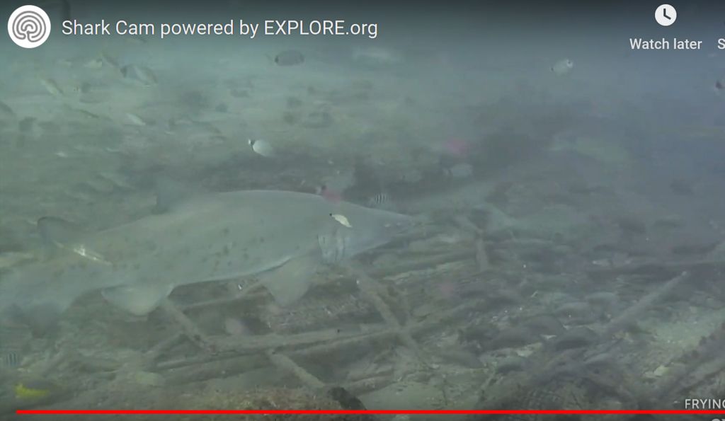 8cf400be-7d10-4992-a4d2-3687e82699b6