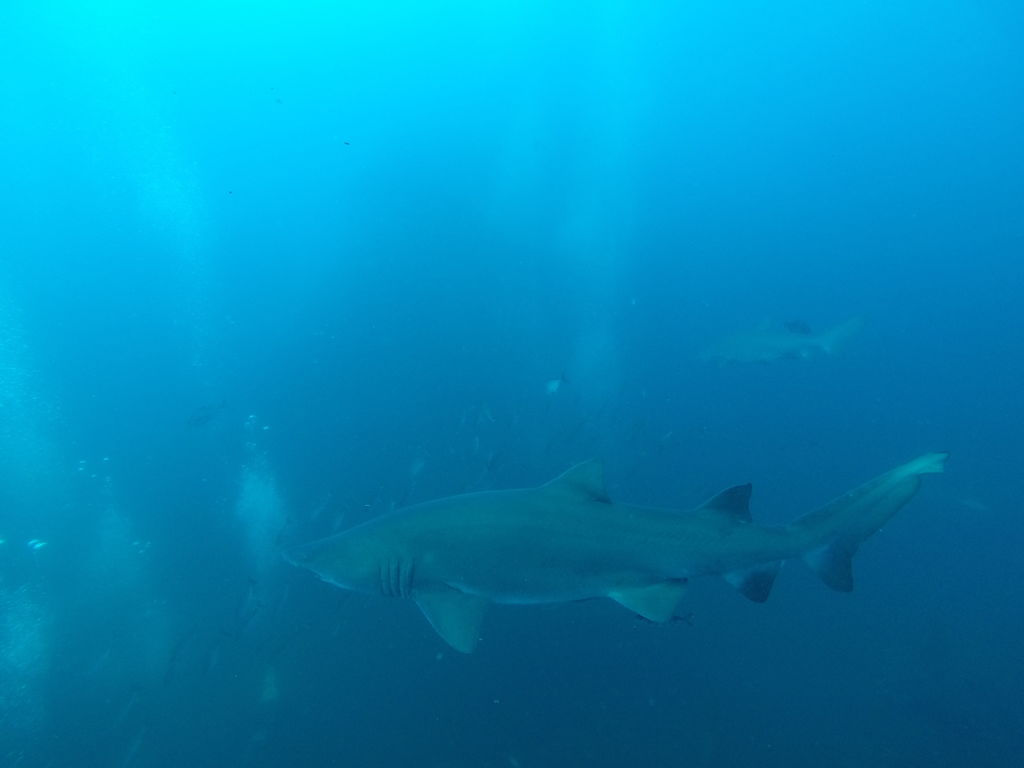 1f78690b-d61d-4115-a278-a94bf334ec77