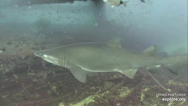 91c94482-016c-494d-bdbf-8eb0e75a38c8