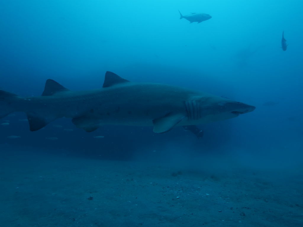 568492aa-5c10-490e-aee7-63ecdeac2e65