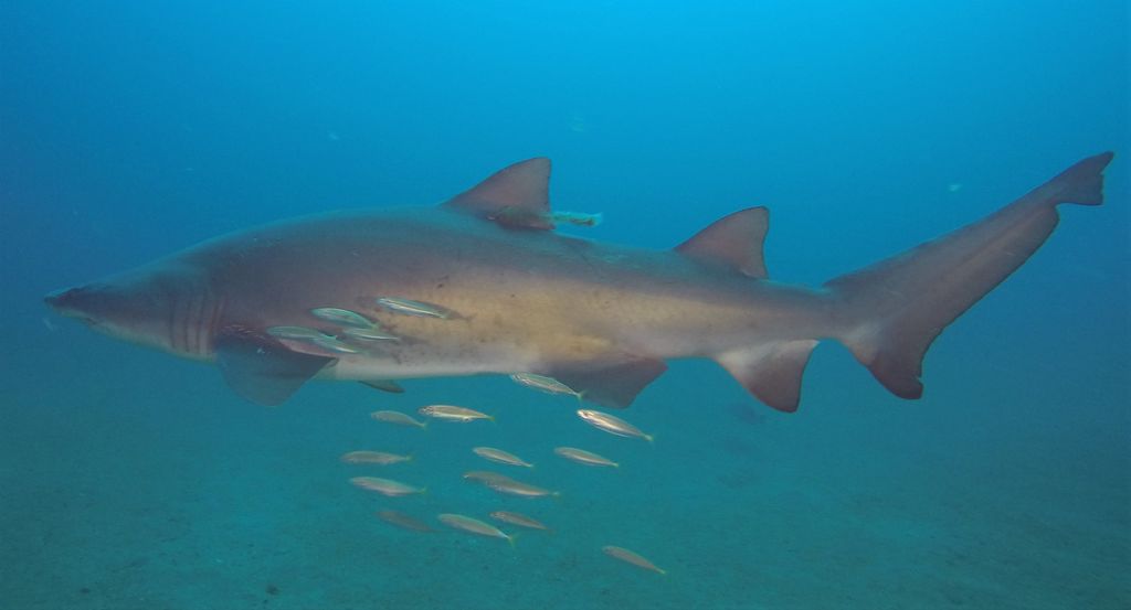 648efc0b-59e5-455b-a5f8-c60b3c305ba4