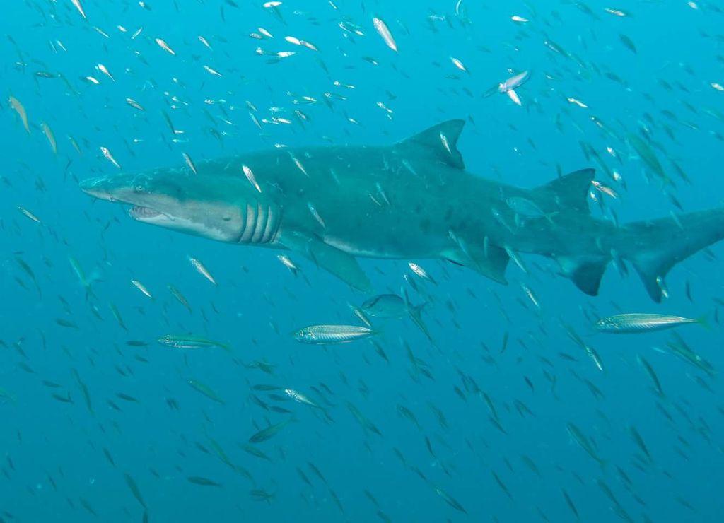 d3f70807-bdf0-4e0f-9c6e-62c93e7cbdef