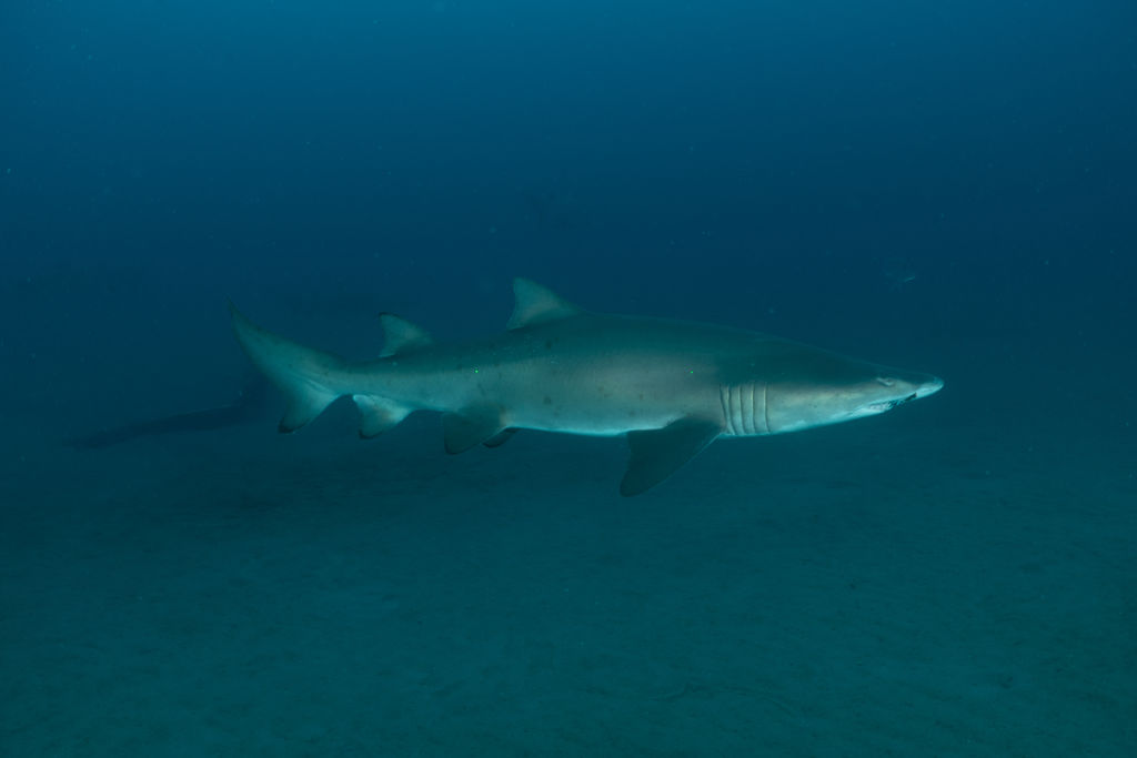 0576f933-3046-46ce-b7d8-c3cdeeccd583