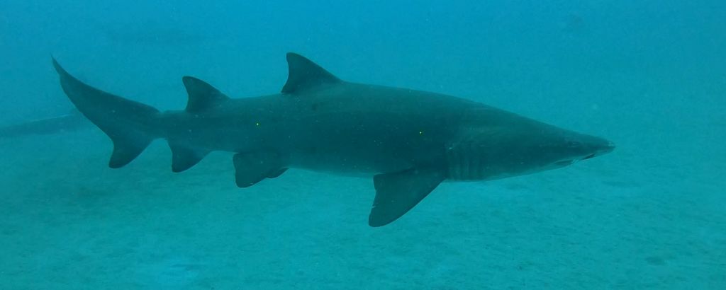 0576f933-3046-46ce-b7d8-c3cdeeccd583