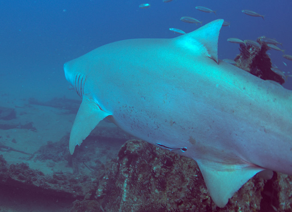 cb7f9195-2be1-42a6-af21-61e4093c0160