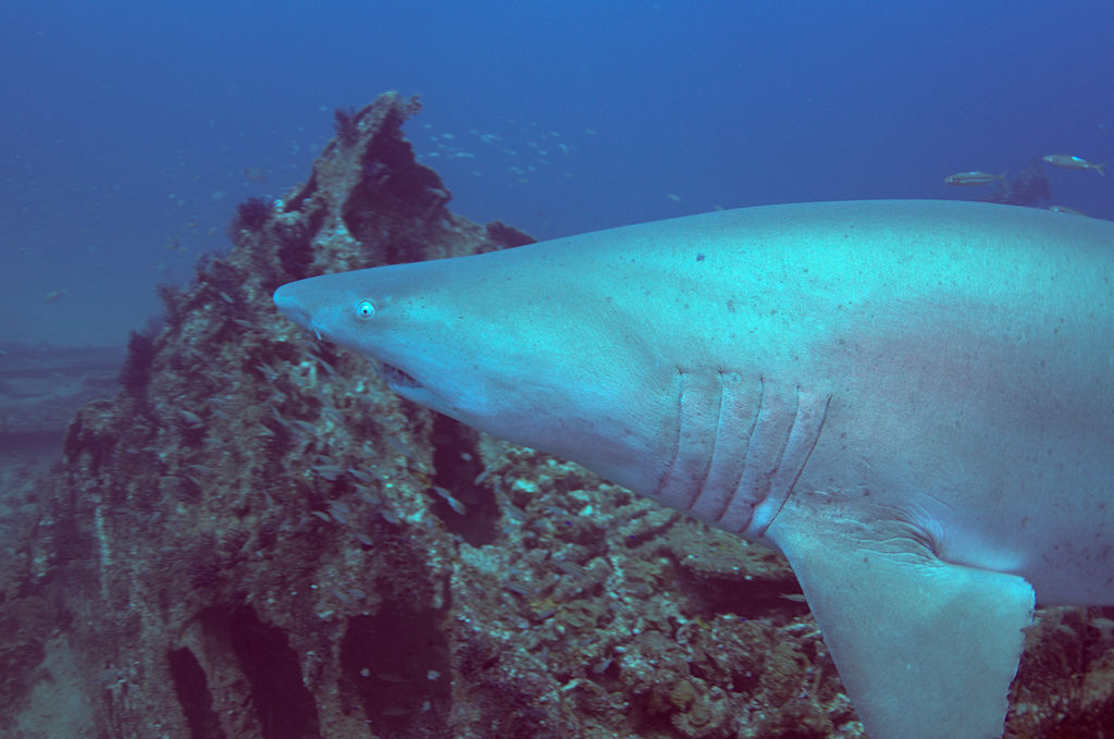 cb7f9195-2be1-42a6-af21-61e4093c0160