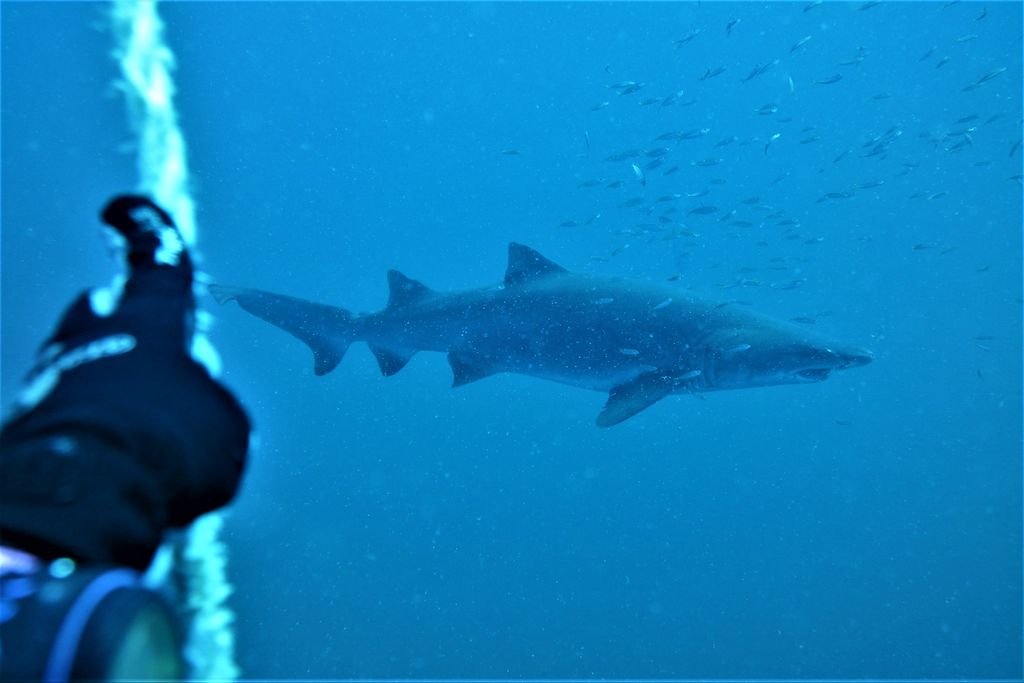 87a15e63-264f-4fed-b53c-bdbcedd6c860