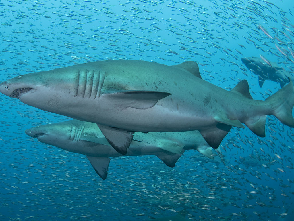 662958f7-377f-4550-a341-18cfa7ea8f2e