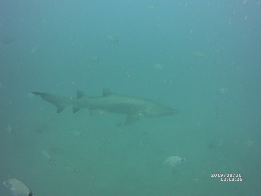 6c62525e-94db-492f-af3a-c84af2649537