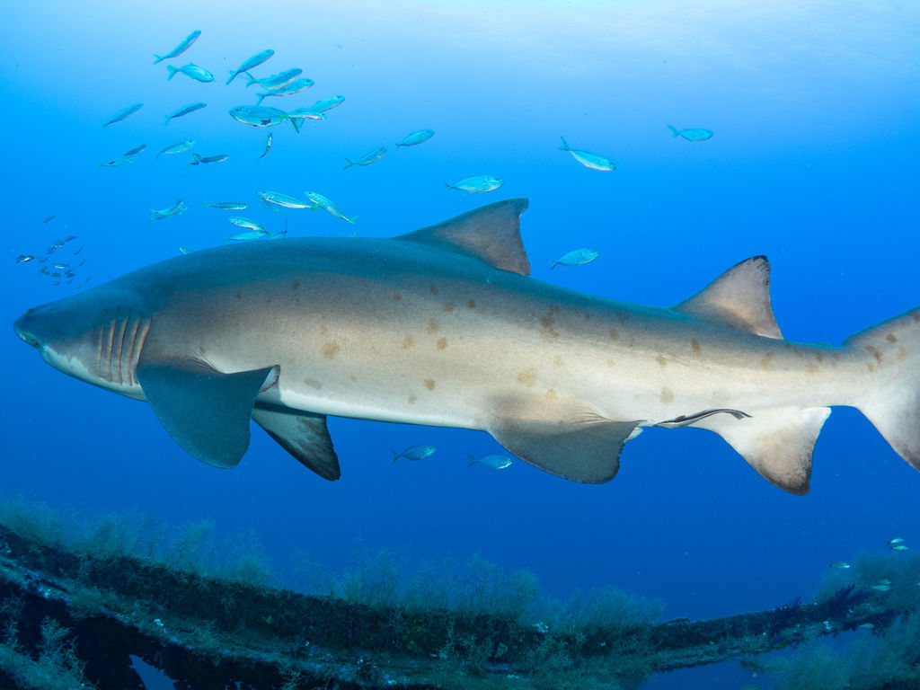 260ab69d-1380-4c6b-9d8a-3de9c824ee7b