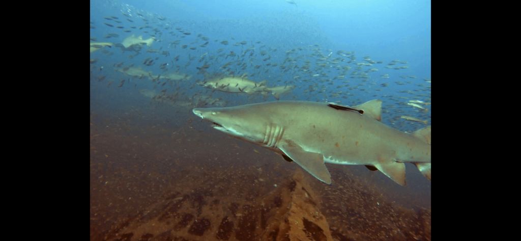 873480ff-e47a-4259-a624-906a6577b2e5