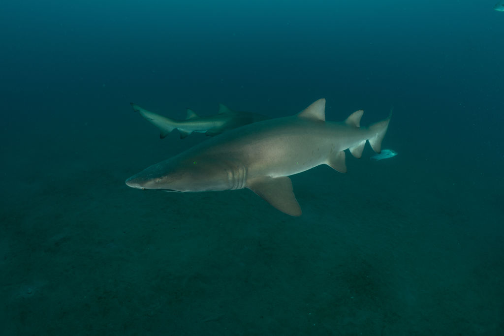 3db5c177-155b-4a5f-ae7a-a1ede60b06b7