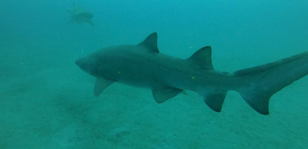 3db5c177-155b-4a5f-ae7a-a1ede60b06b7