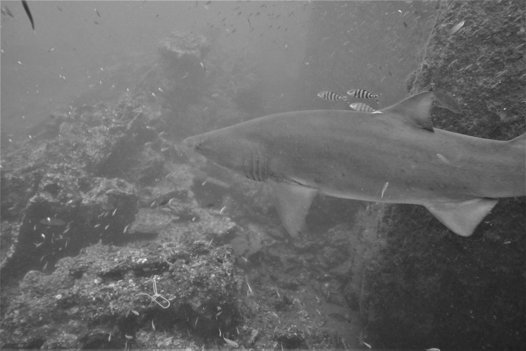 5bca20bc-50c2-47eb-b293-c5bd2f3caf78