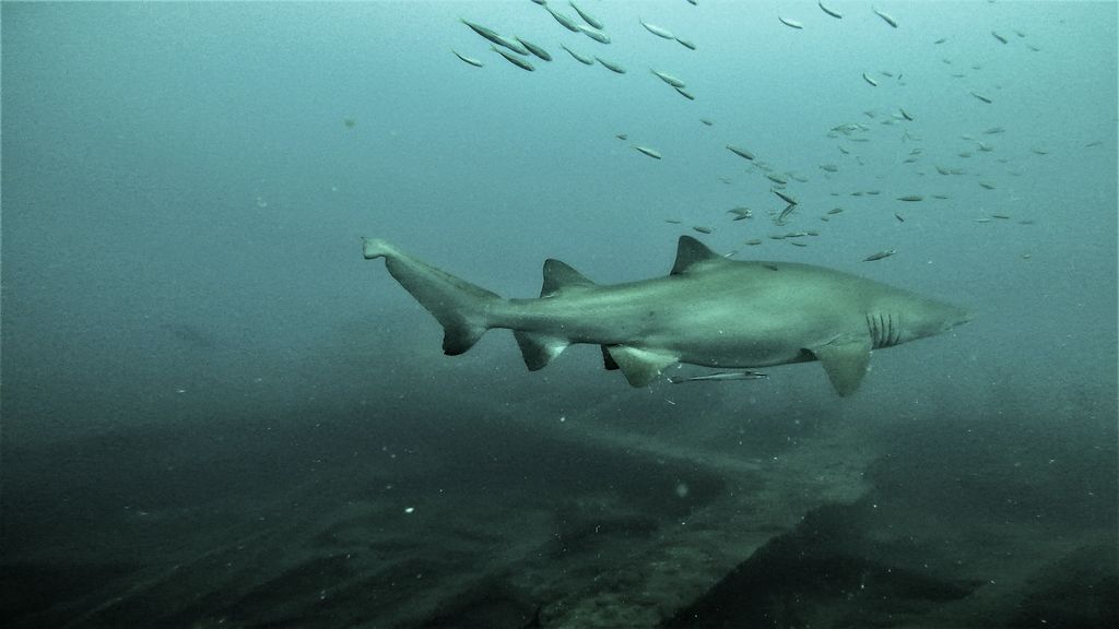 8b542327-ab94-4f3c-b0a2-ebcca2978842