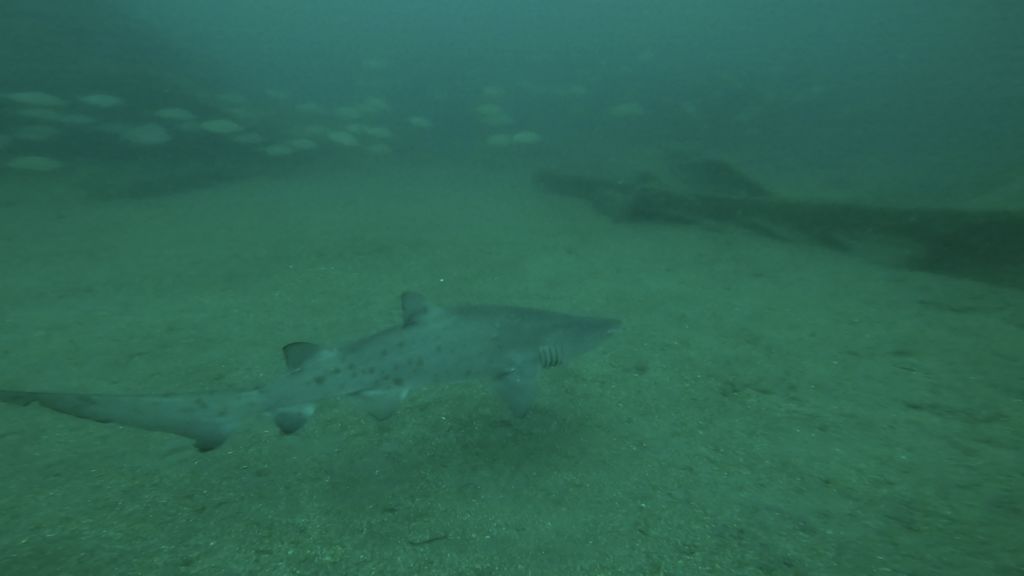 0b998ccd-ee05-4b90-925b-0e5d28b461c8