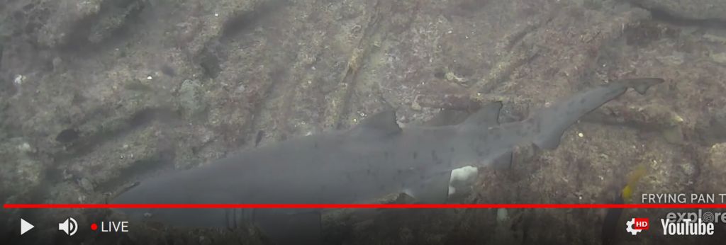 876374b1-46b4-451b-961e-078deb24ae2b