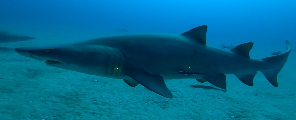 c460a527-f194-4214-b185-068d01e8b67c