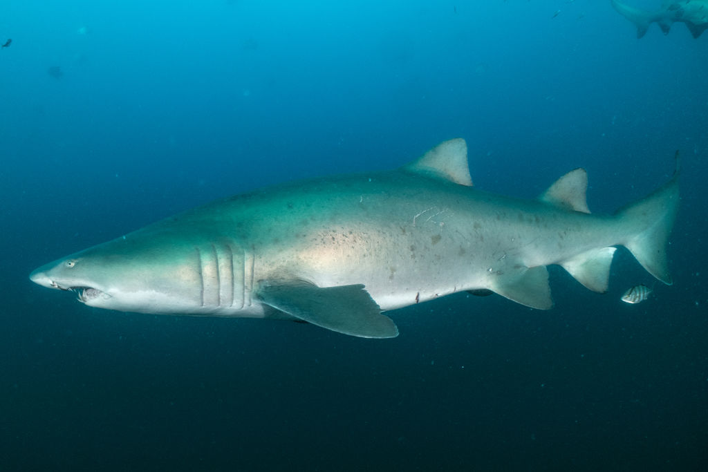 78a4fce0-f617-43f5-9175-257235e62789