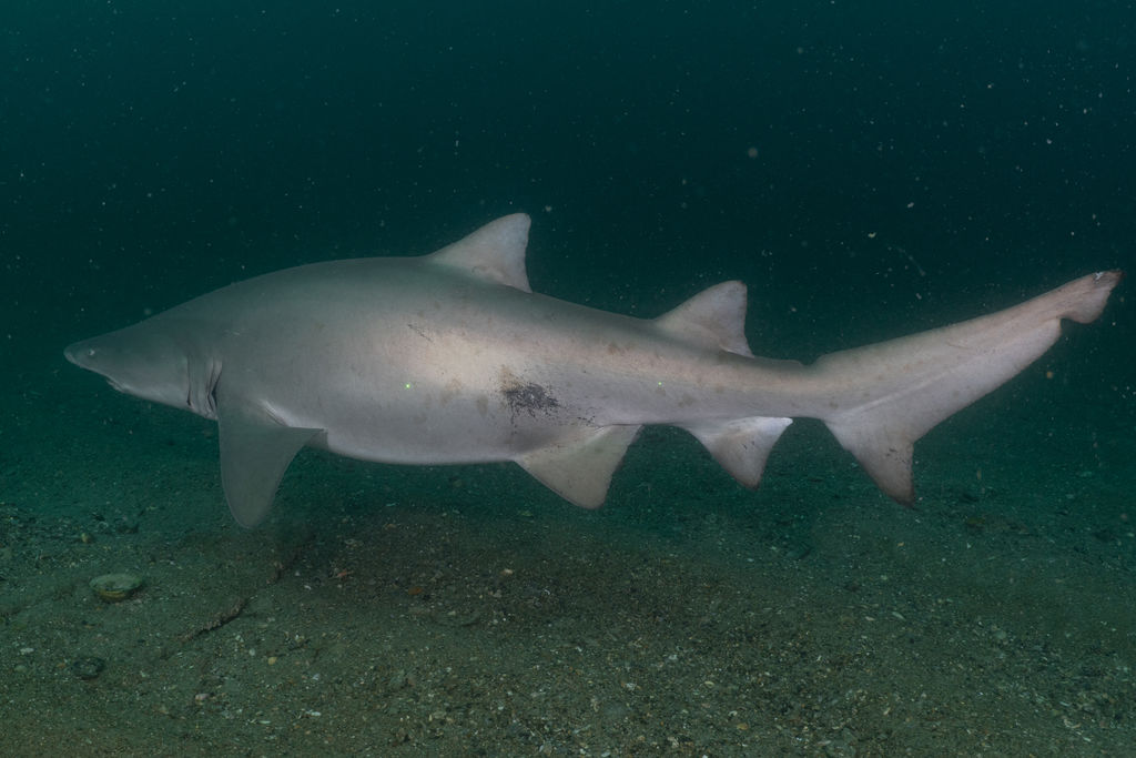 c6dbe331-f1be-4938-ab0f-4789b518e911