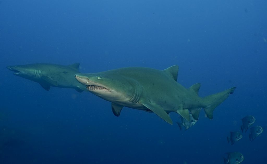 4bd21d61-7bca-437f-b74b-2ac1e36f3615