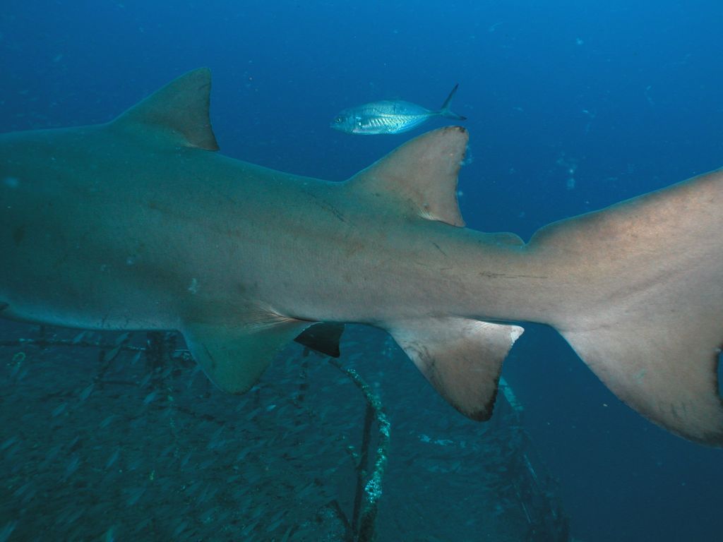 cef79ae2-7759-4130-9237-6ecb9c424483