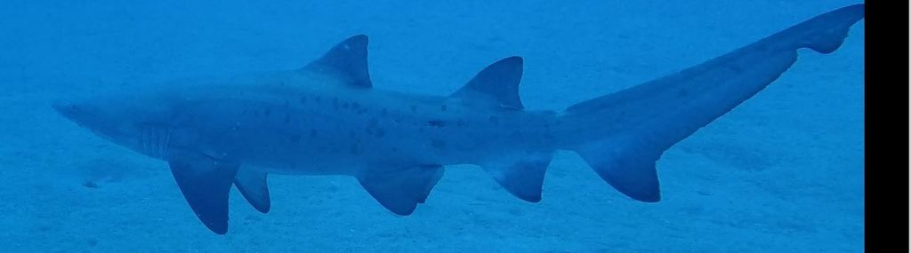 6068ef68-66f1-4adf-8403-e78ffd5c6c8c