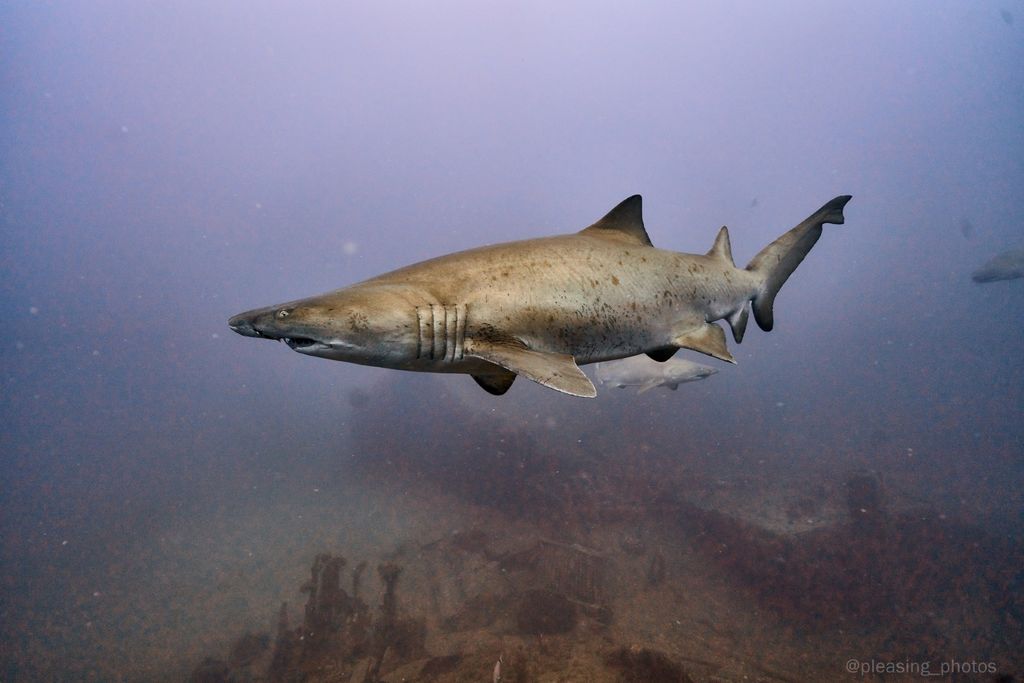 e57cb843-2aaa-4365-af23-64e9eac70747