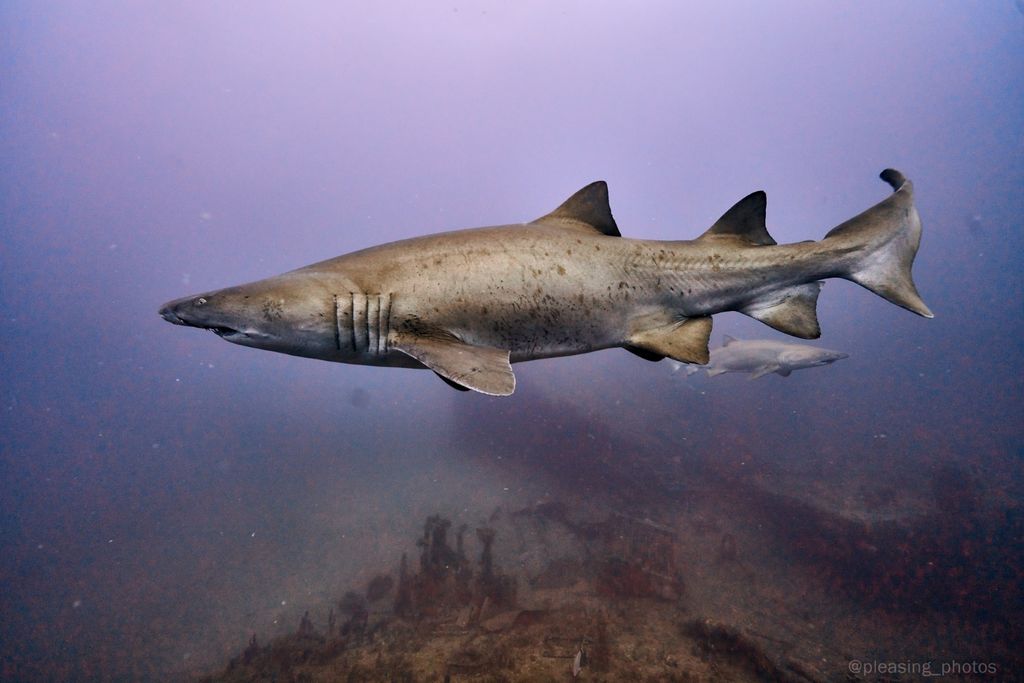 e57cb843-2aaa-4365-af23-64e9eac70747