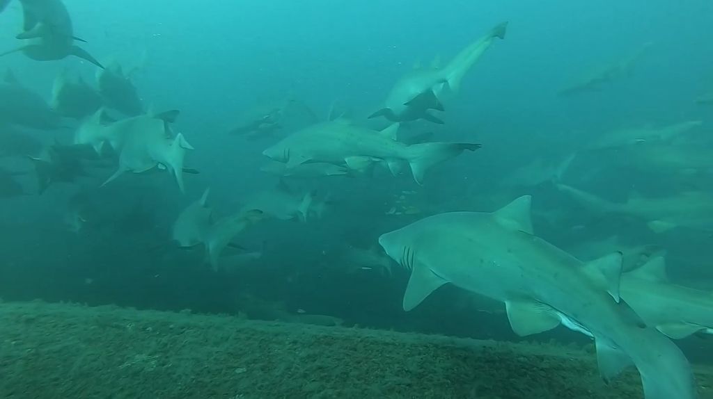 ec77d504-b896-437a-aee7-b028dbf1c85d