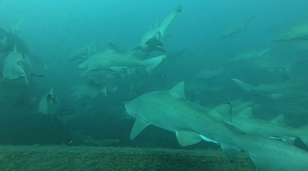 ec77d504-b896-437a-aee7-b028dbf1c85d