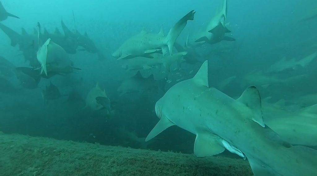 ec77d504-b896-437a-aee7-b028dbf1c85d