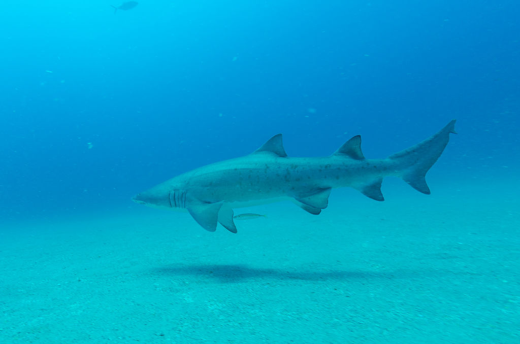 807c6171-d1a9-4f4e-b1e9-671e0912947f