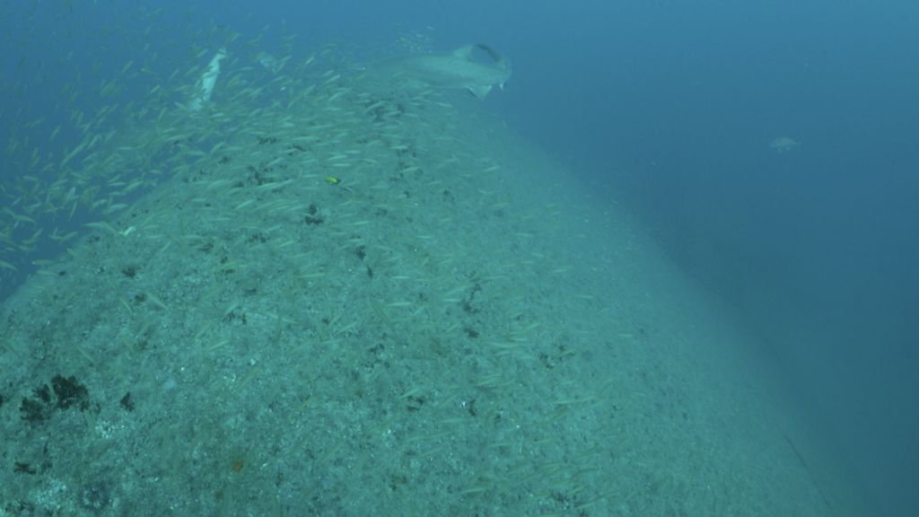 ebf6e92e-d25a-4ea9-942a-5bbe3155cac9