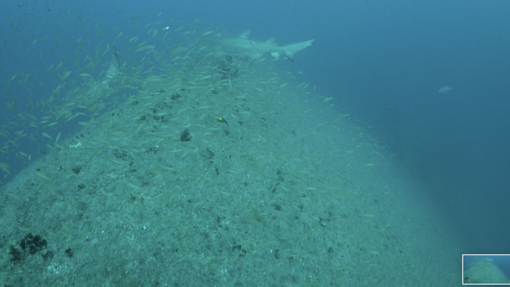 ebf6e92e-d25a-4ea9-942a-5bbe3155cac9