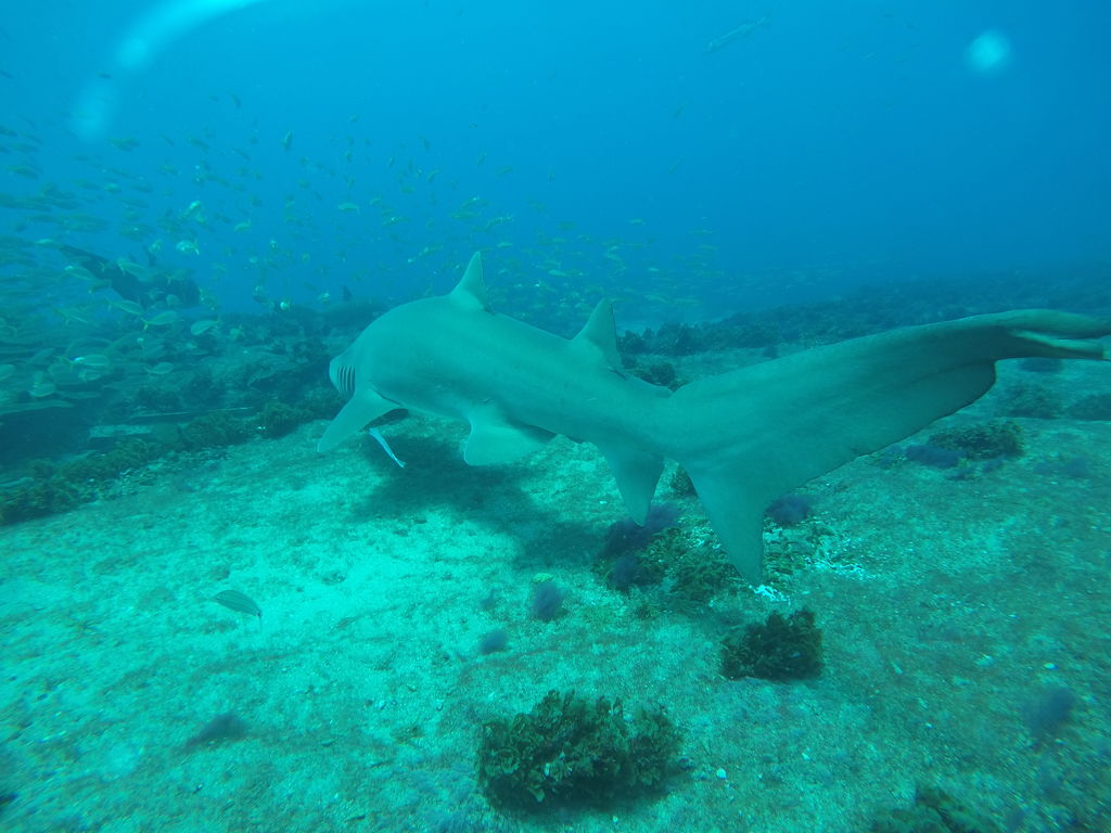 19054536-ae76-48df-89e4-77be71afe07d