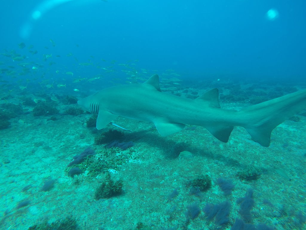 19054536-ae76-48df-89e4-77be71afe07d