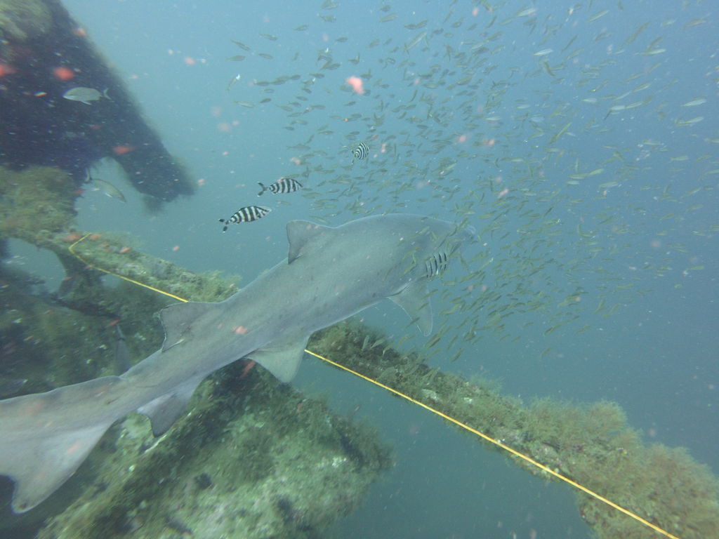 e67b02ea-4625-402a-9543-adc51f2e89c8