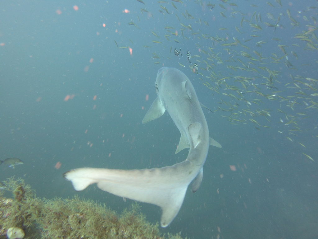 e67b02ea-4625-402a-9543-adc51f2e89c8