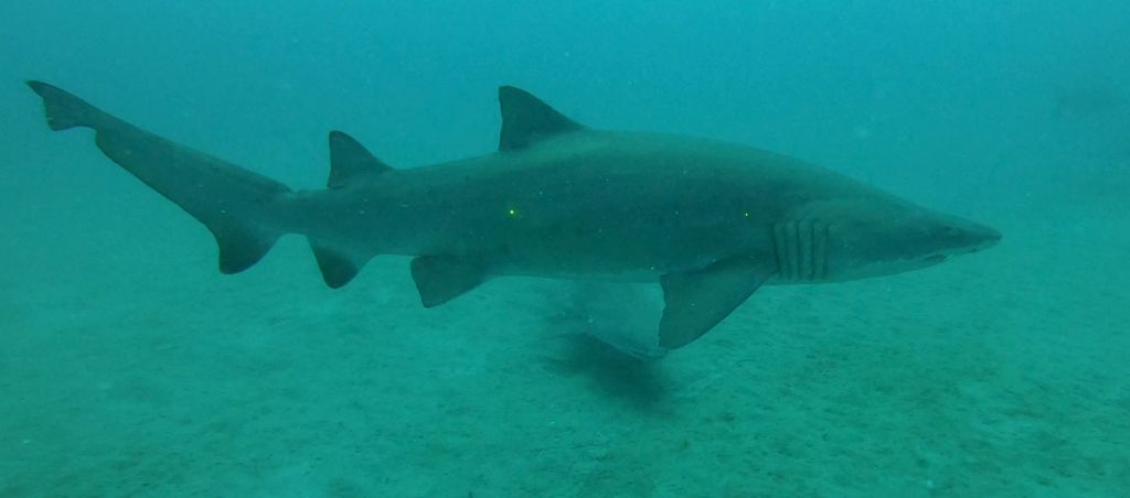 c182e469-25bd-43a4-aff7-ead511ae299b